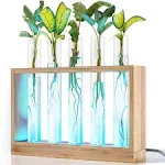 Light Up Bamboo Vial Air Planter