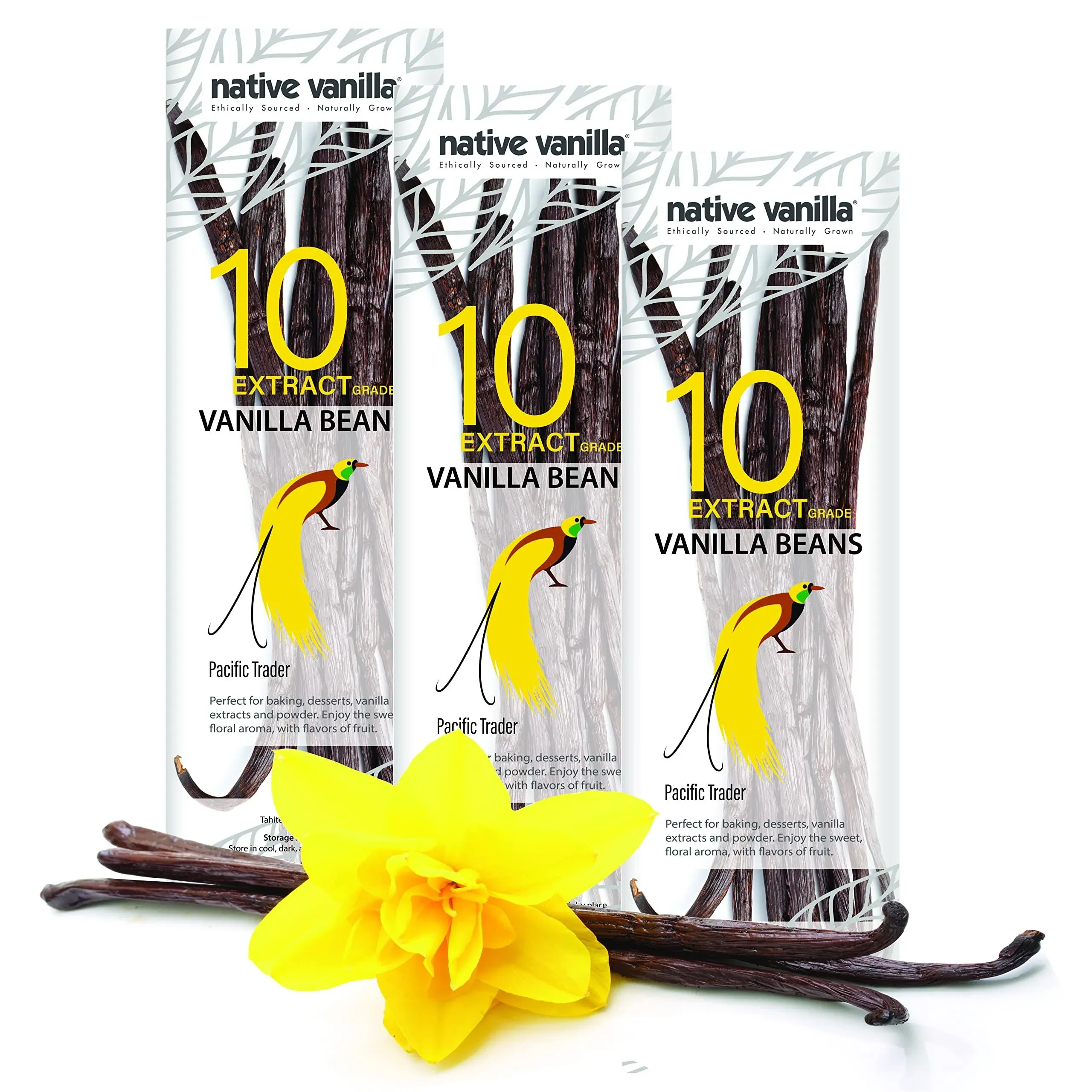 30 Tahitian Vanilla Beans - Premium Grade B Whole Vanilla Pods - For Vanilla Extract, Cooking, Baking, & Desserts - Rich, Creamy Flavor - 100% Vegan & Kosher - Non-GMO & Gluten-Free - Native Vanilla