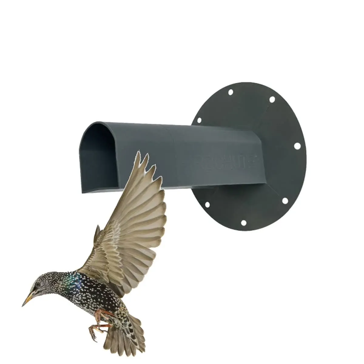 BIRDCHUTE™ One Way Door