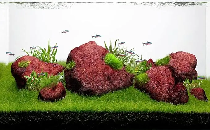 Landen Red Lava Stones for Aquascaping Terrariums PaludariumVivariums Reptile and ...