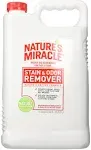 Nature's Miracle Stain & Odor Remover