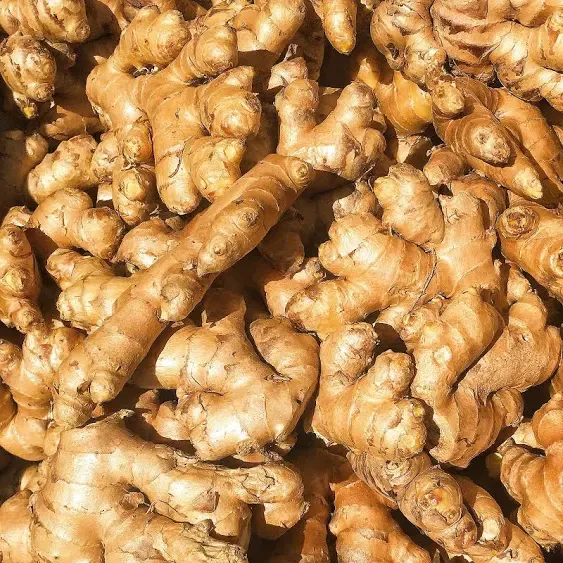 Kejora 100% Organic Fresh Ginger Root - Source from Peru (10)