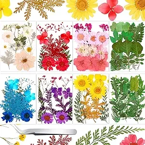 109 Pieces Real Dried Press Flowers Set, Natural Pressed Dry Flowers Leaves Mixe