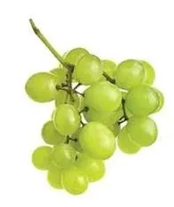 GREEN SEEDLESS GRAPES FRESH PRODUCE FRUIT PER POUND