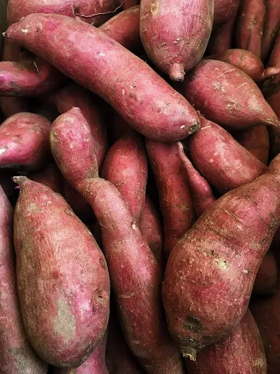 Kejora Japanese White Sweet Potatoes - 4 LBS