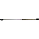 Whitecap 316 Stainless Gas Spring 7.5" x 20 #G-3120SSC