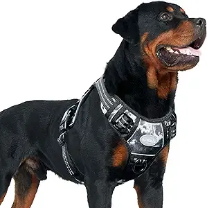 Auroth Best Tracking & Training Harness for Large Dogs, Quality K9 Gear Black Ink / X-Large