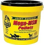 MEGA-MSM PELLETS Joint Support for Horses - 5 Pound