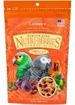 Lafeber Senior Bird Nutri-Berries - Parrot Food - 10 oz