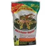 Chase Granular Mole & Gopher Repellent 6 lb.