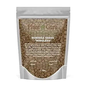 Moringa Seeds Wingless 16 oz. / 1 lb. - PKM1 Variety - Edible Snacking - Planting - Moringa Oleifera - Malunggay - Semillas De Moringa - Drumstick Tree - Non-GMO - 1600 to 2000 Seeds