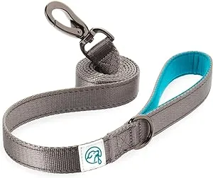 Explorer Neoprene Dog Leash