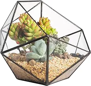 NCYP Opened Geometric Glass Terrarium, 6.69" Bowl Shape Planter for Succulent Plant Cacti, Indoor Balcony Irregular Decor, Garden Miniature Pot, Tabletop Centerpiece (No Plants)