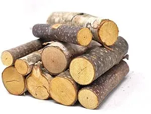 Homeford Assorted Birch Mini Logs, Natural, 10-Piece