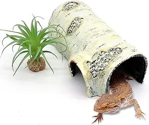 Reptile Hides and Caves Birch Tree Bark Trunk Habitats Decor Aquarium Decoration Wood for Lizard Geckos Snake Spiders Frogs Turtle (Large)