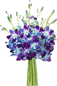 Kabloom: Bouquet of 10 Blue Dendrobium Orchids - Fresh Flowers for Delivery