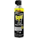 Raid Wasp & Hornet Killer, 17.5 oz