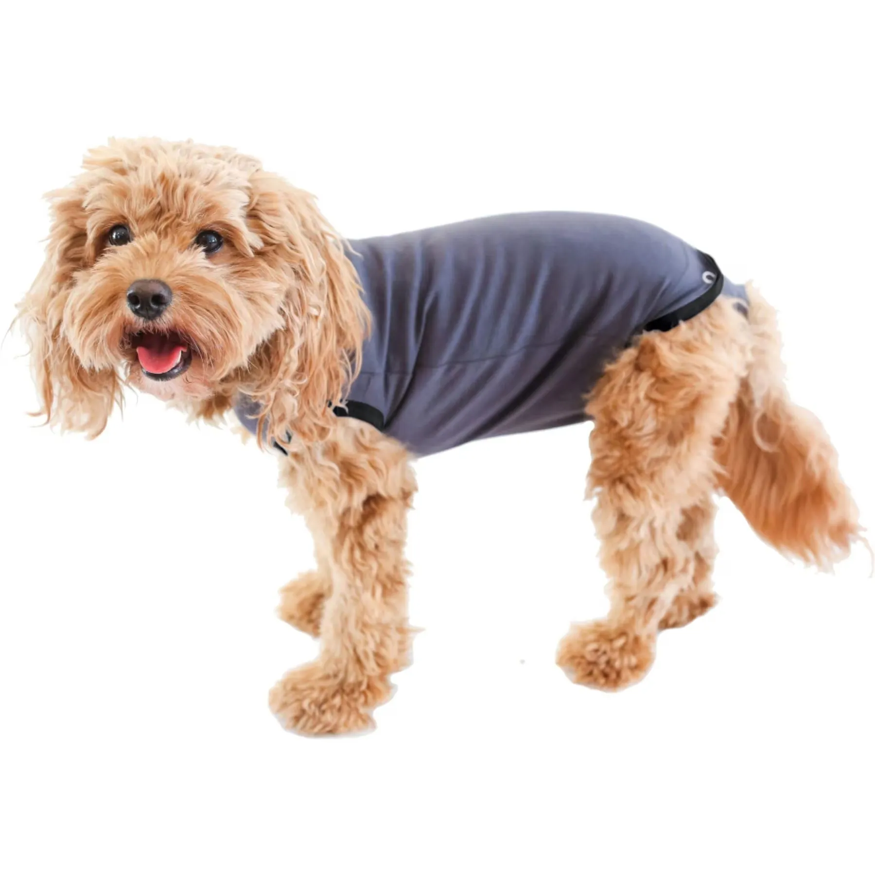 BellyGuard - After Surgery Recovery Onesie, Post Spay, Neuter, Body Suit for male and Female Dogs, Comfortable Cone Alternative