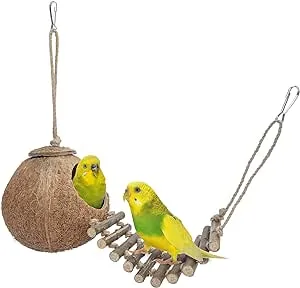 Niteangel Natural Coconut Hideaway with Ladder, Bird and Small Animal Toy (House with Ladder, Natural Surface)