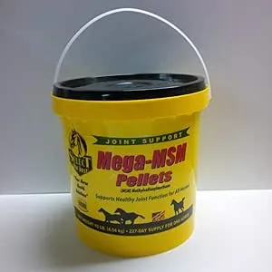 MEGA-MSM PELLETS JOINT SUPPORT FOR HORSES