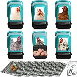 Chicken Nesting Boxes Chicken Laying Boxes with Perch Roll Out Nesting Boxes for Chickens Nesting Boxes for Chicken coop Nest Box Large