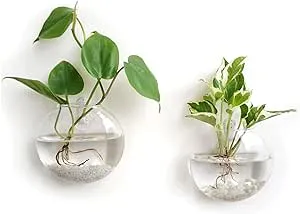 Mkono Wall Hanging Glass Terrariums Planter Oblate Flower Vase for Hydroponics Plants, Bathroom, Home Office Living Room Decor, Set of 2