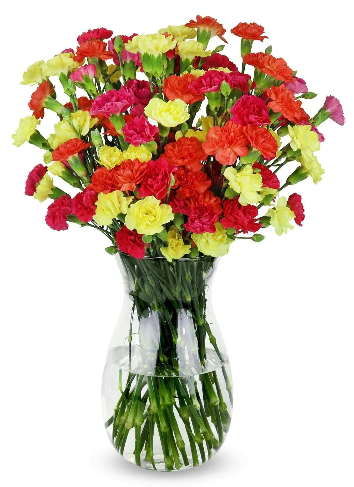 Benchmark Bouquets Bright Mini Carnations