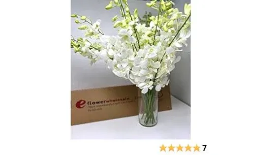 Dendrobium Orchids White 10 Stems x 2 Bunches With Vase