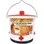 Farm Innovators 2 Gallon Heated Poultry Drinker