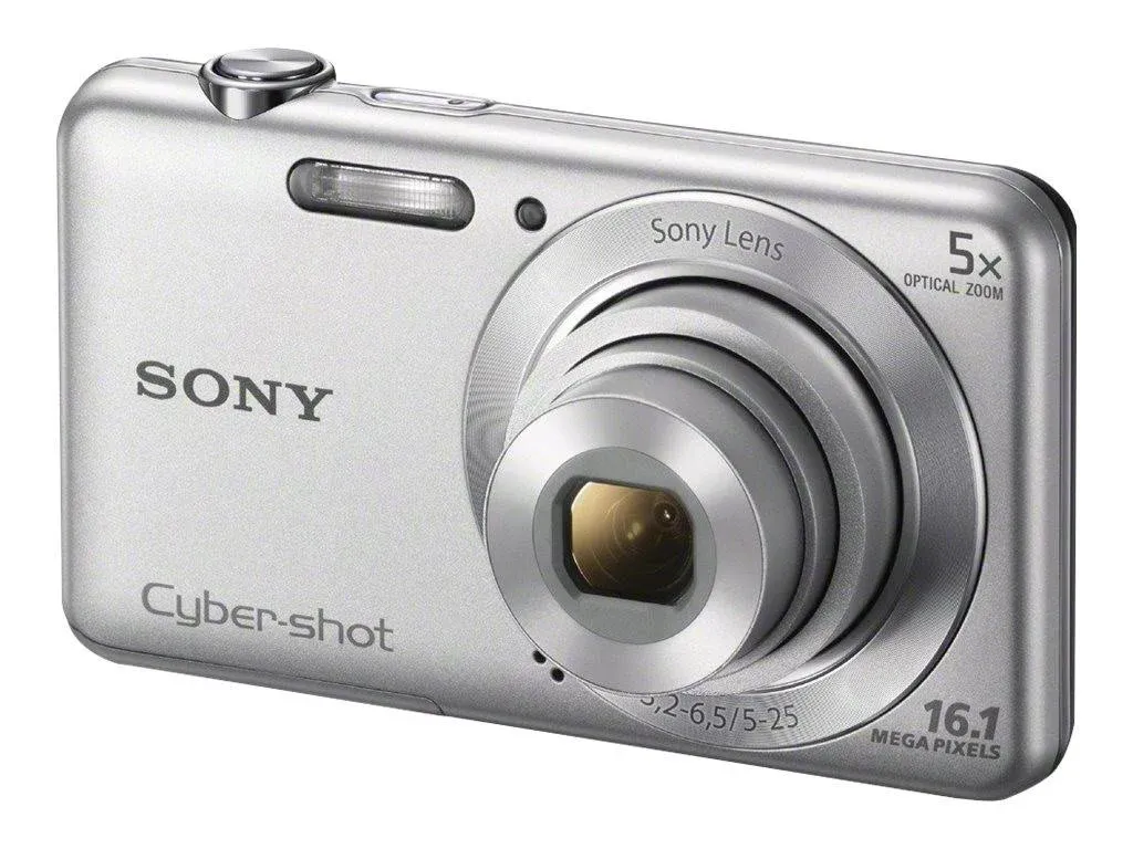 Sony Cyber-shot DSC-W710 CCD 16.1MP Vintage Digital Camera - Silver