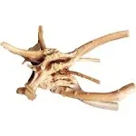 majoywoo Natural Large Driftwood for Aquarium Decor Reptile Decor, Assorted Spider Wood Branch 13-17" Long, Fish Tank Decoration