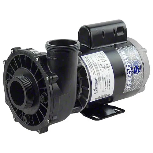 Waterway Executive 2 HP 2 Speed 2" Intake 2" Discharge 56 Frame 230 Volt Pump 3720821-1D