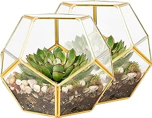 Deco 2 Pk Gold-Trimmed Glass Geometric DIY Terrarium, Succulent &amp; Air Plant