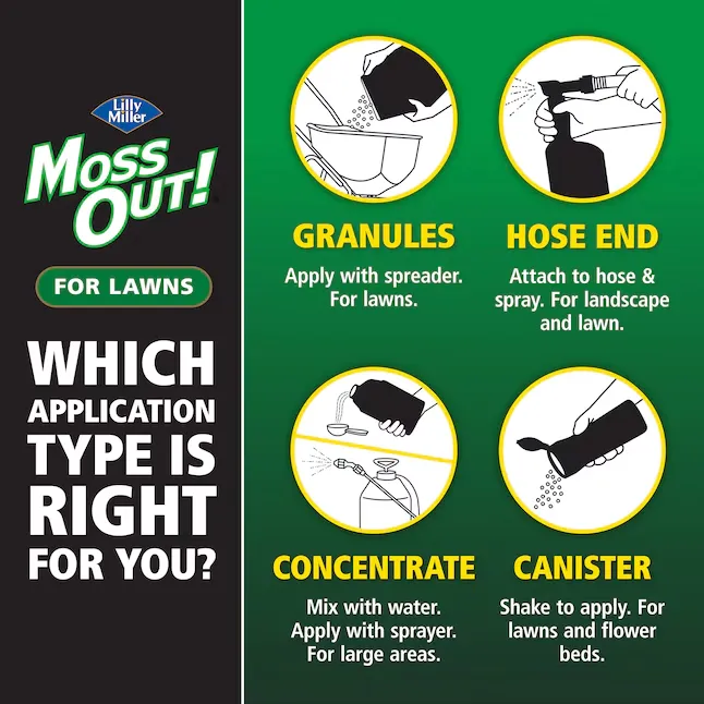 Lilly Miller Moss Out For Lawns Concentrate 1gal - 5601110