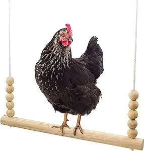 Backyard Barnyard Chicken Swing Handmade in USA!!! ! Toy for Coop (Round Bar) Natural Safe Large Wood Perch Ladder for Poultry Run Rooster Hens Chicks Pet Parrots Pollo Stress Relief for Birds