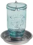 Mason Jar Wild Bird Waterer