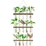 3 Tier Large Propagation Stations Wall Hanging Plant Terrarium with Wooden St...