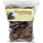 Josh's Frogs Organic Magnolia Leaf Litter USA Collected (1 Gallon/ 40 Leaves)