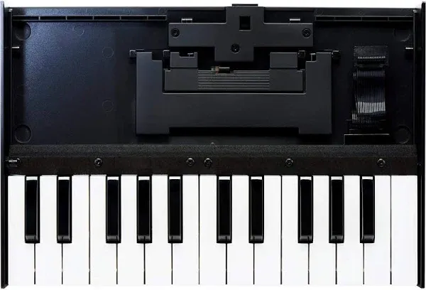 ROLAND K-25m Boutique Series Dedicated Keyboard Unit