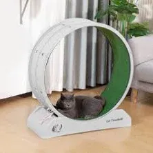 COZIWOW 31.5" Cat Treadmill Exercise Running Wheel Nonslip Carpet Teaser Indoor  | eBay