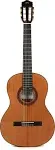 Cordoba Cadete 3/4 Size Acoustic Nylon-String Classical Guitar Natural