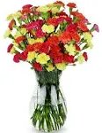 20 stem Bright Mini Carnations, Farm Direct Fresh Flowers, Gift for Anniversary, Birthday, Congratulations, Get Well, Home Décor, Sympathy, Valentine’s Day