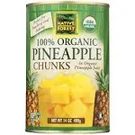 Native Forest Organic Papaya Chunks 14 Ounce Cans (Pack of 6)