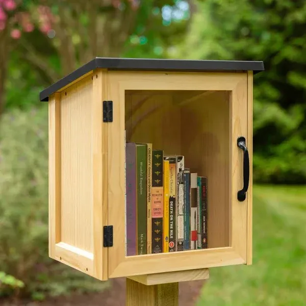  Outdoor Library Book Box - Free Literature Exchange Kit for Outside - 13x11x16