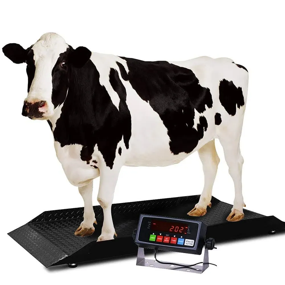 Large Farm Animal Scale/Digital Livestock Weighing Equipment, Capacity 4000 x 1 lb for Cattle, Horse, Goat, Cow, Alpaca, etc. (84x30)