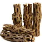 NApremium Natural Cholla Wood | 5 Pieces of 5-6" Long Natural Cholla Wood for Aquarium Decoration, Hermit Crabs, Shrimp