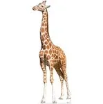 Advanced Graphics 3171 88 x 33 in. Giraffe Cardboard Cutout