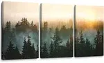 SDYA Forest Bathed in Sunlight Canvas Print