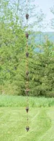 Ancient Graffiti Pine Cone Rain Chain