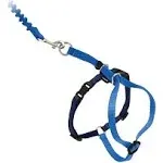 PetSafe Come with Me Kitty Harness & Bungee Leash Royal Blue Medium